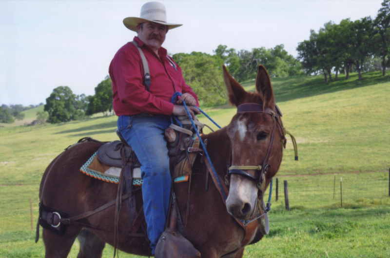 Profile photo of Kelly Scott