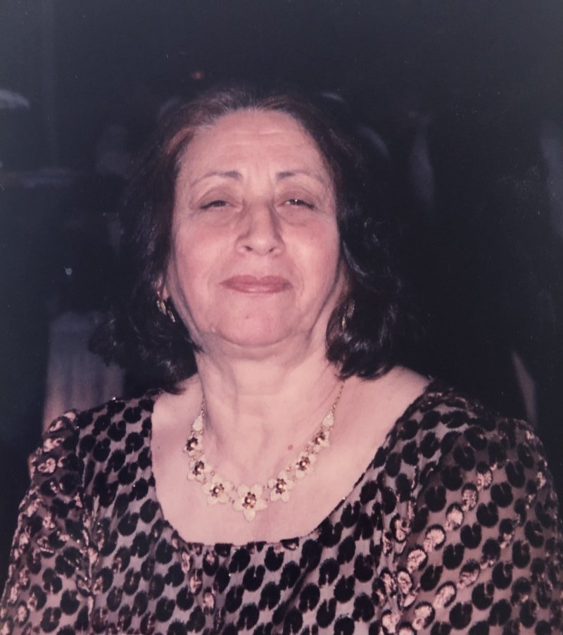 Profile photo of Soltan Ghahramani