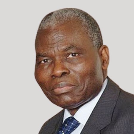 Profile photo of Dr. Christopher Olusola Kolade