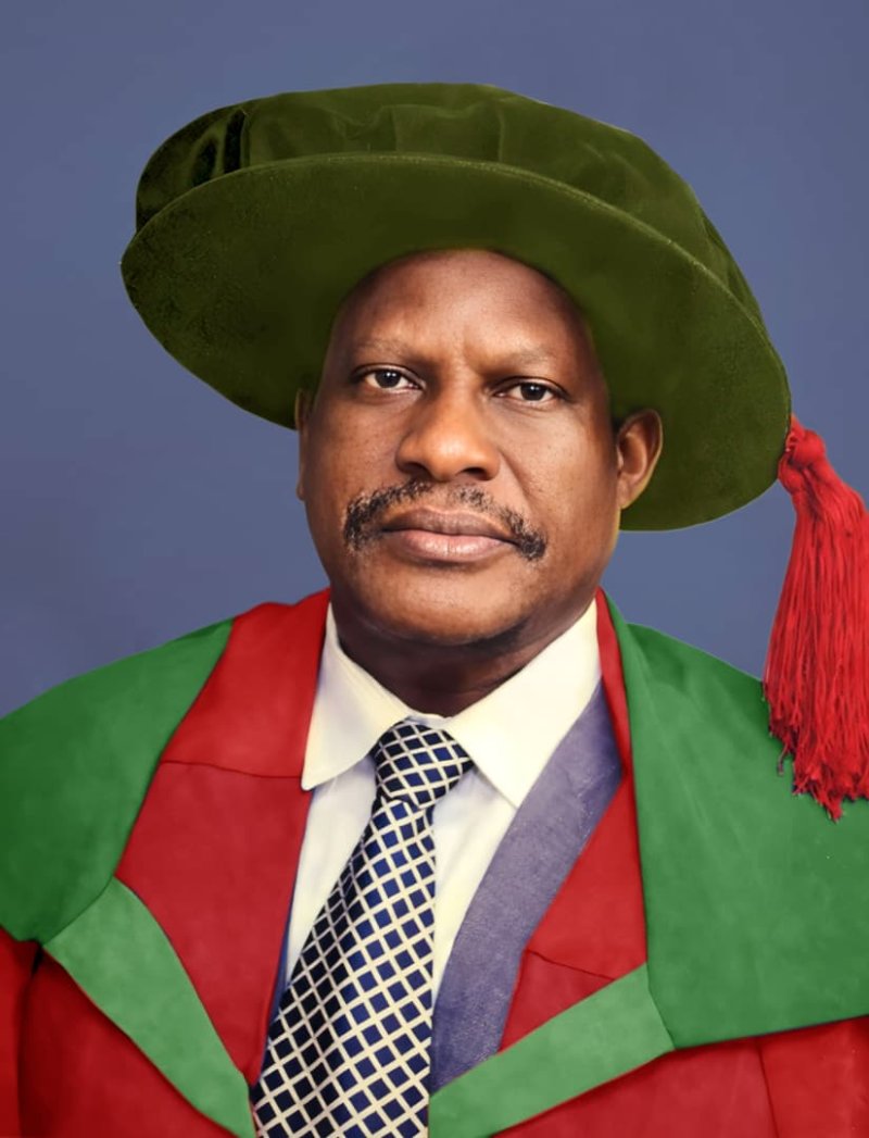 Profile photo of Professor Joseph Chukwuemeka Achike Agbakoba